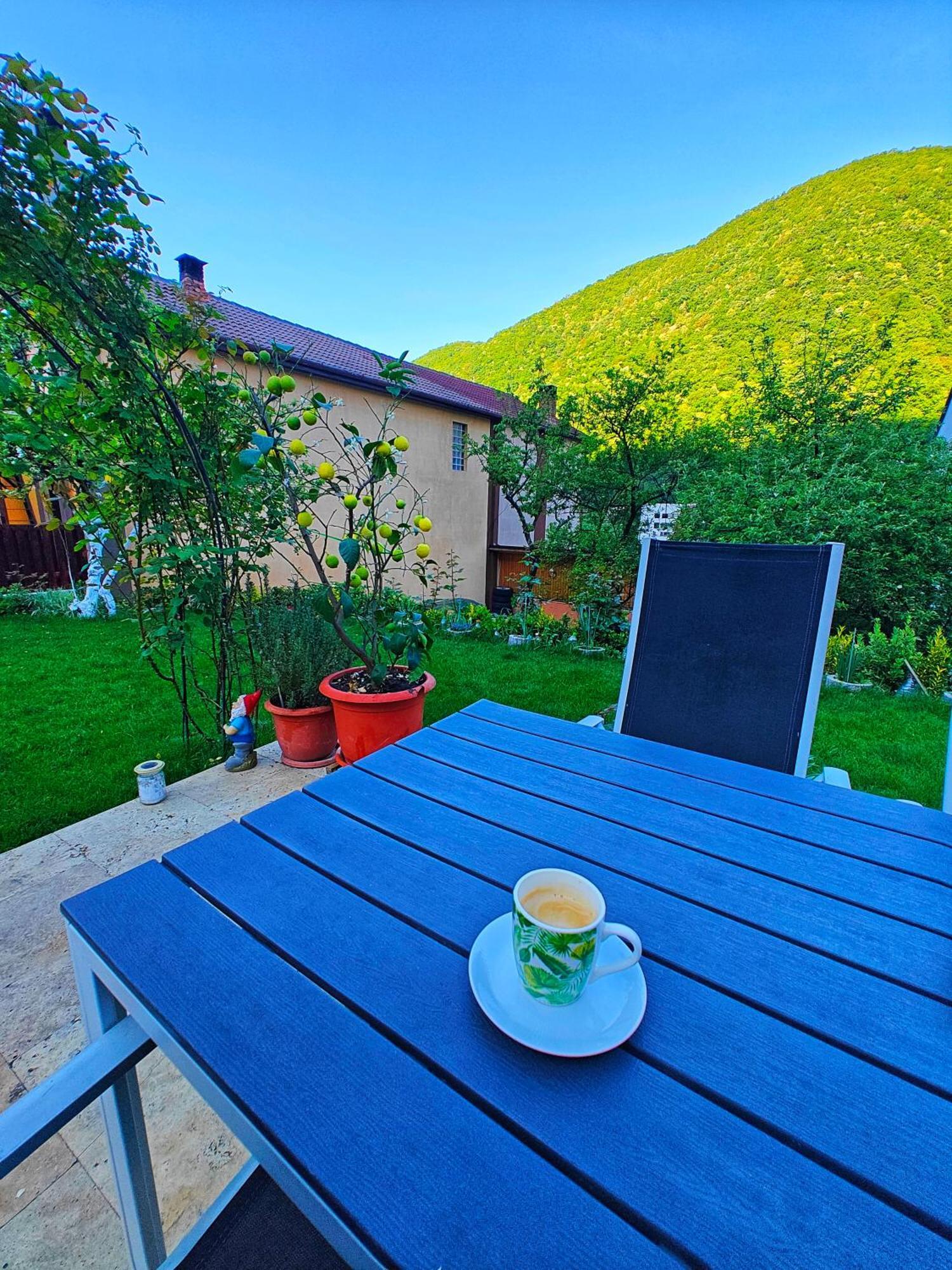 Casa Miclau Apartment Baile Herculane Exterior photo