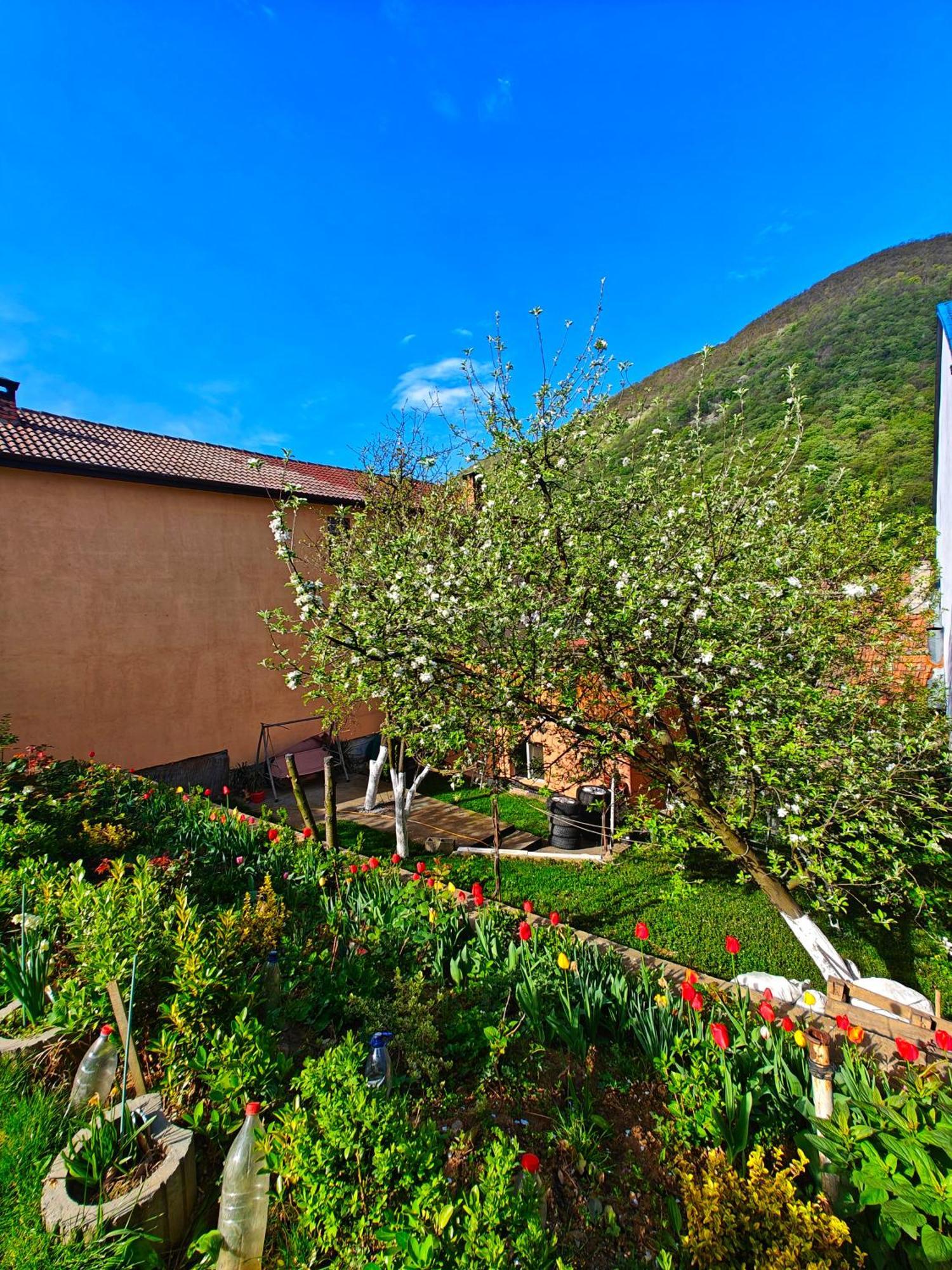 Casa Miclau Apartment Baile Herculane Exterior photo