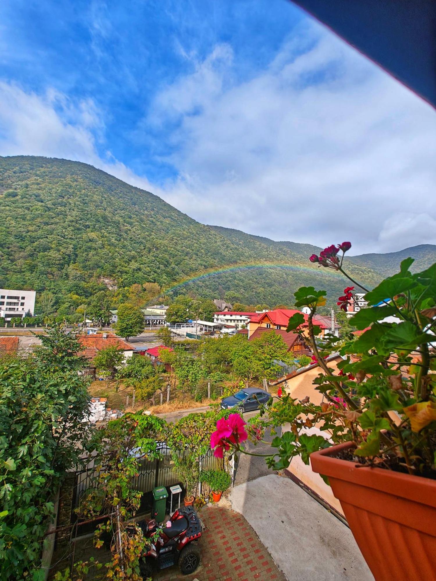 Casa Miclau Apartment Baile Herculane Exterior photo