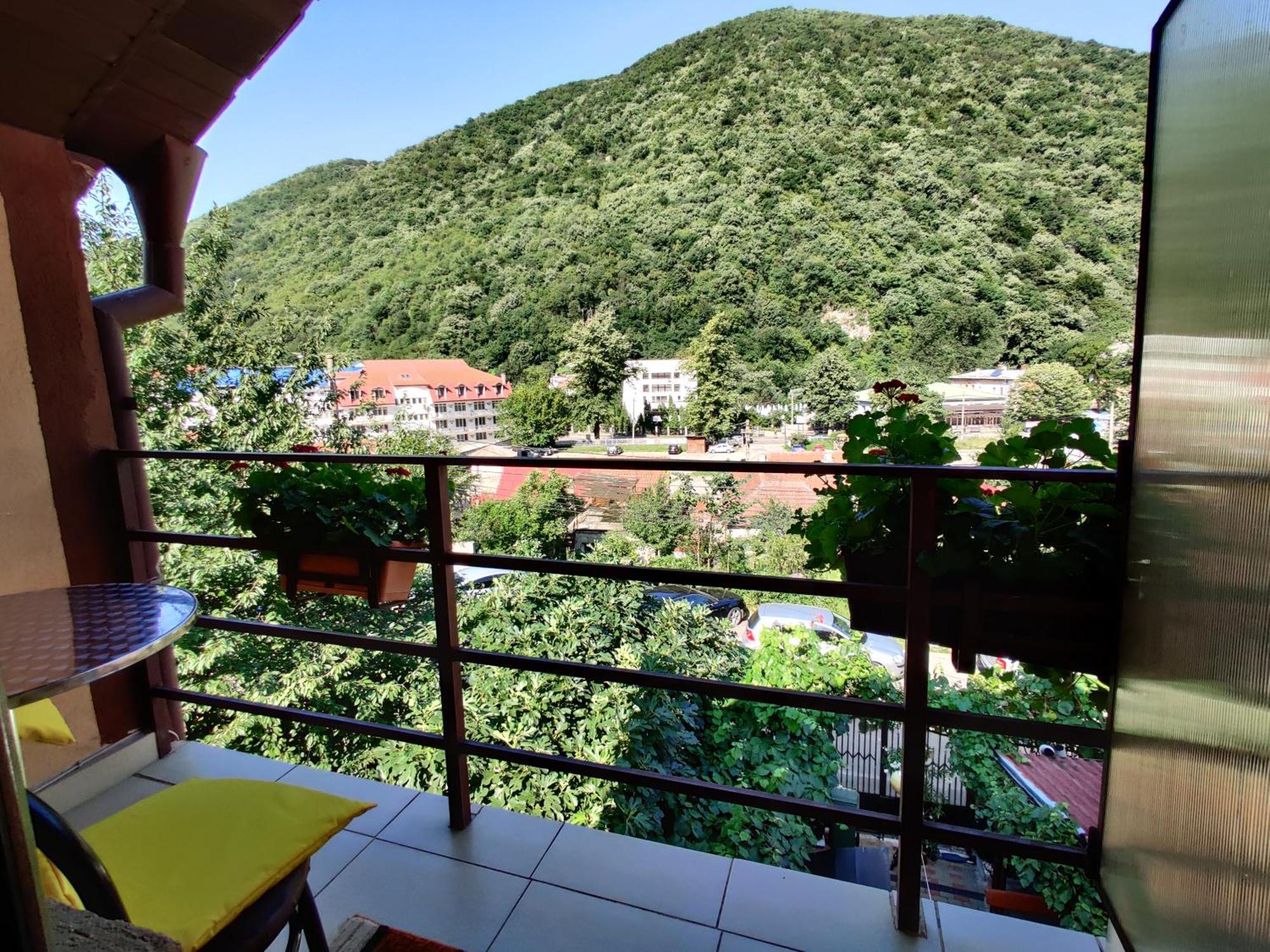 Casa Miclau Apartment Baile Herculane Room photo